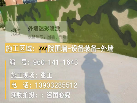 拉萨 迷彩漆喷涂价格（按平方米计费）